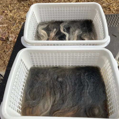 How to wash long wool locks